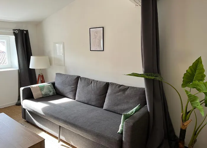 Loft Cosy - Centre Historique Climatise