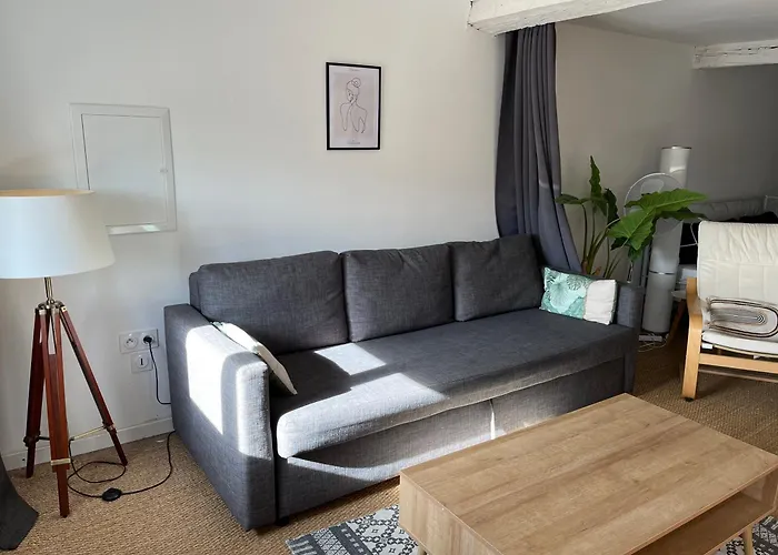 Loft Cosy - Centre Historique Climatise