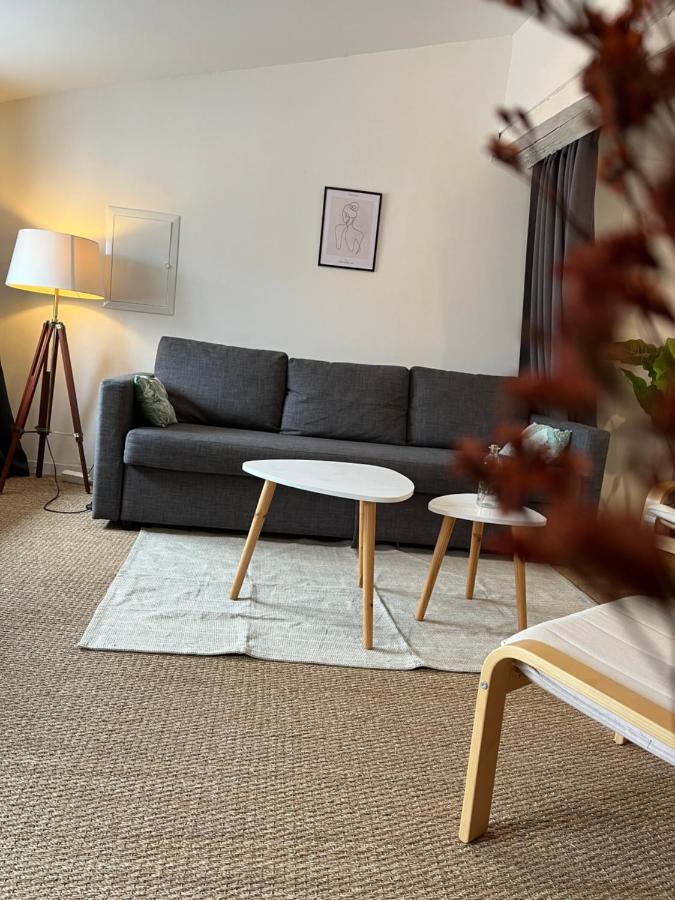 Loft Cosy - Centre Historique Climatise Revel (Haute-Garonne)